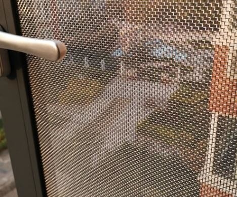 Plain Woven 316 Stainless Steel Security Mesh With Anti Corrosion 10mesh 0.032" Wire