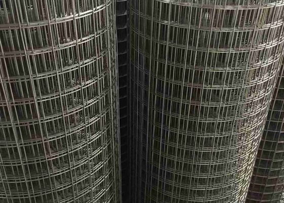 Stainless Steel 304 And 316 SS Welded Wire Mesh 1 Mesh 2 Mesh