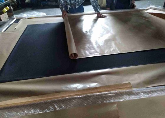 Black Powder Coated Stainless Steel Security Screens DIN