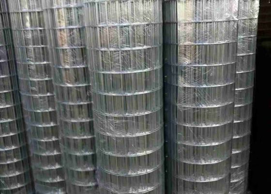 Electric Galvanized 100 X 50 Welded Mesh Bright Color And Smooth Surface