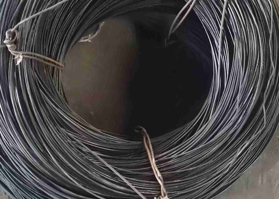 Вокруг провода Uns S31600/Din 1,4401/Aisi 316 нержавеющей стали 316 8mm